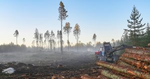 Agricole et forestier